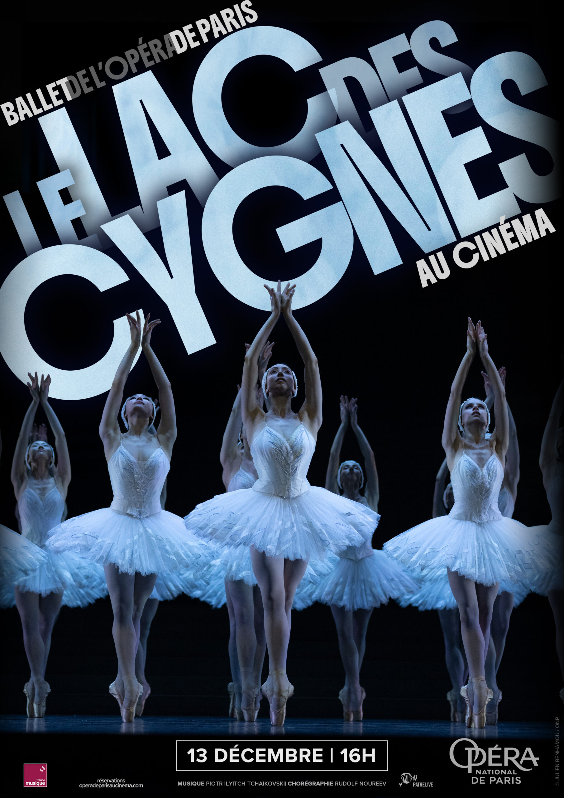 Le lac des cygnes